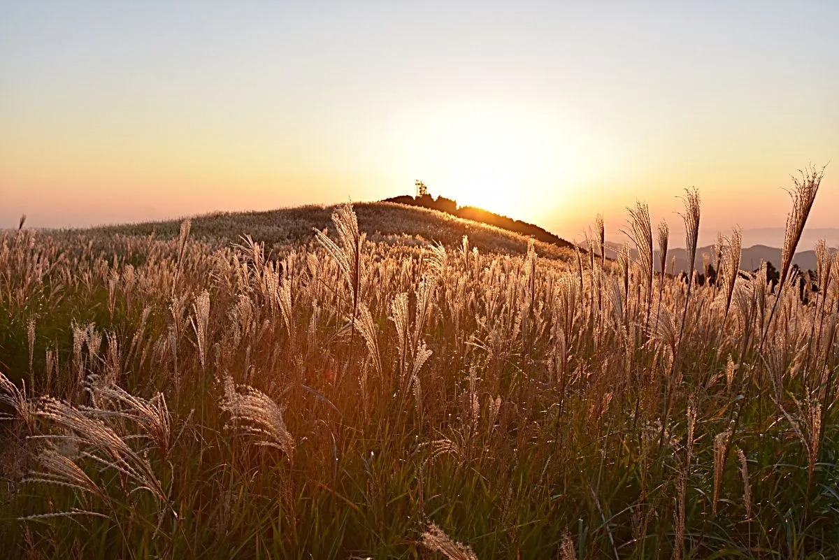 和歌山海岸絶景日帰りツアー