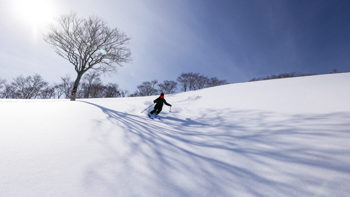 &nbsp;奥伊吹スキー場 日帰り旅